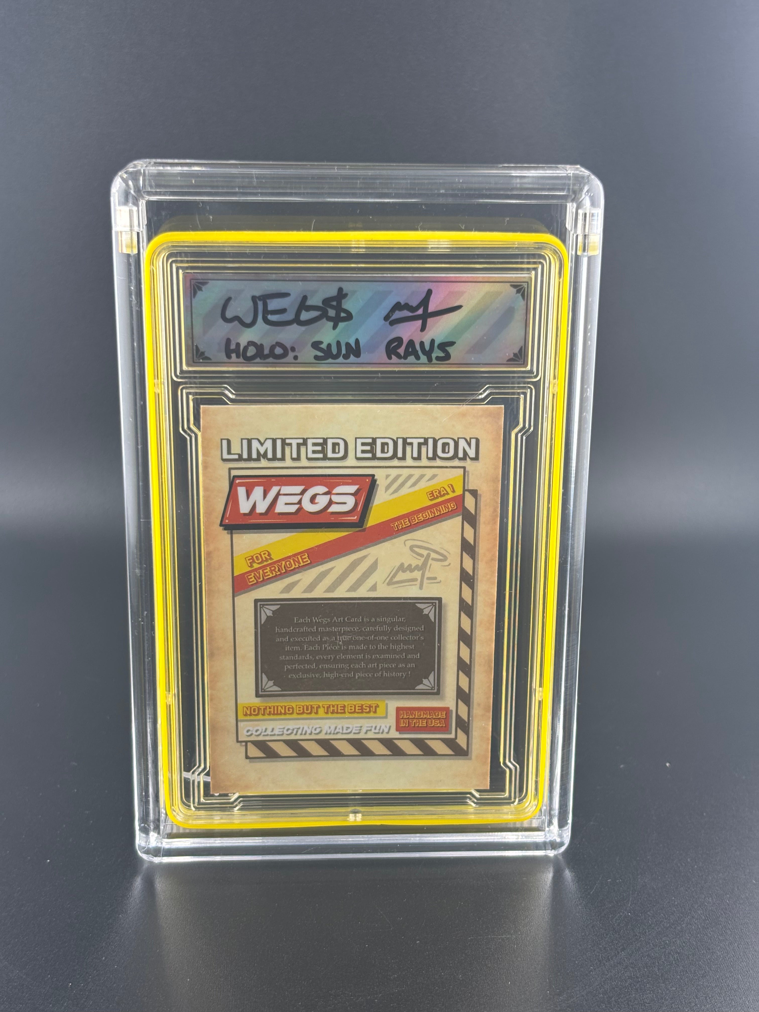 WEGS BLACK OUT(FULL COLORWAY VARIANT)